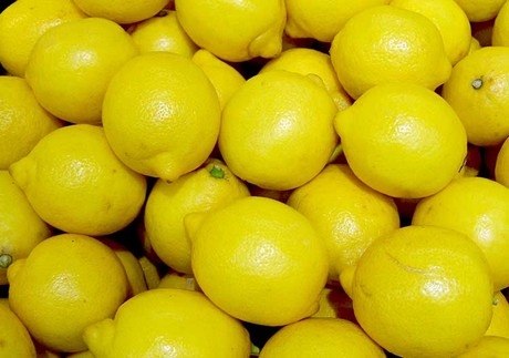 1kg. BIO-Zitronen, Sizilien | Israel Spezialitäten